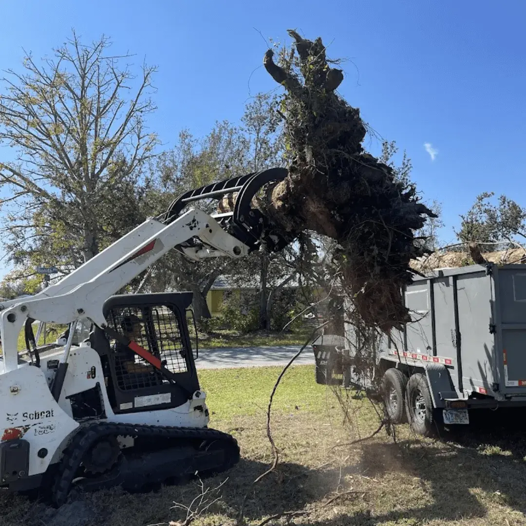 Stump grinding and debris removal equipment