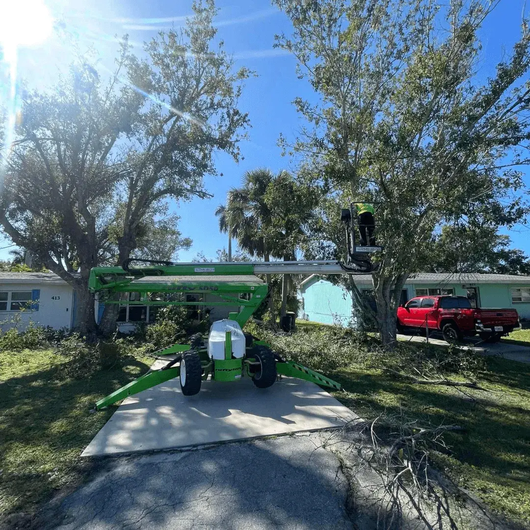 West Coast Tree crew working with professional equipment