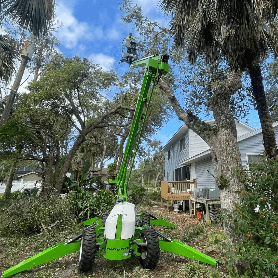 Tree trimming service near residential home