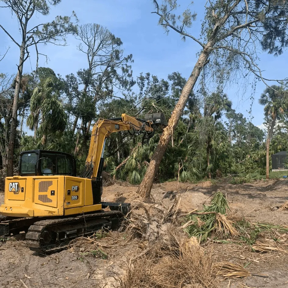 Land clearing with excavator equipment